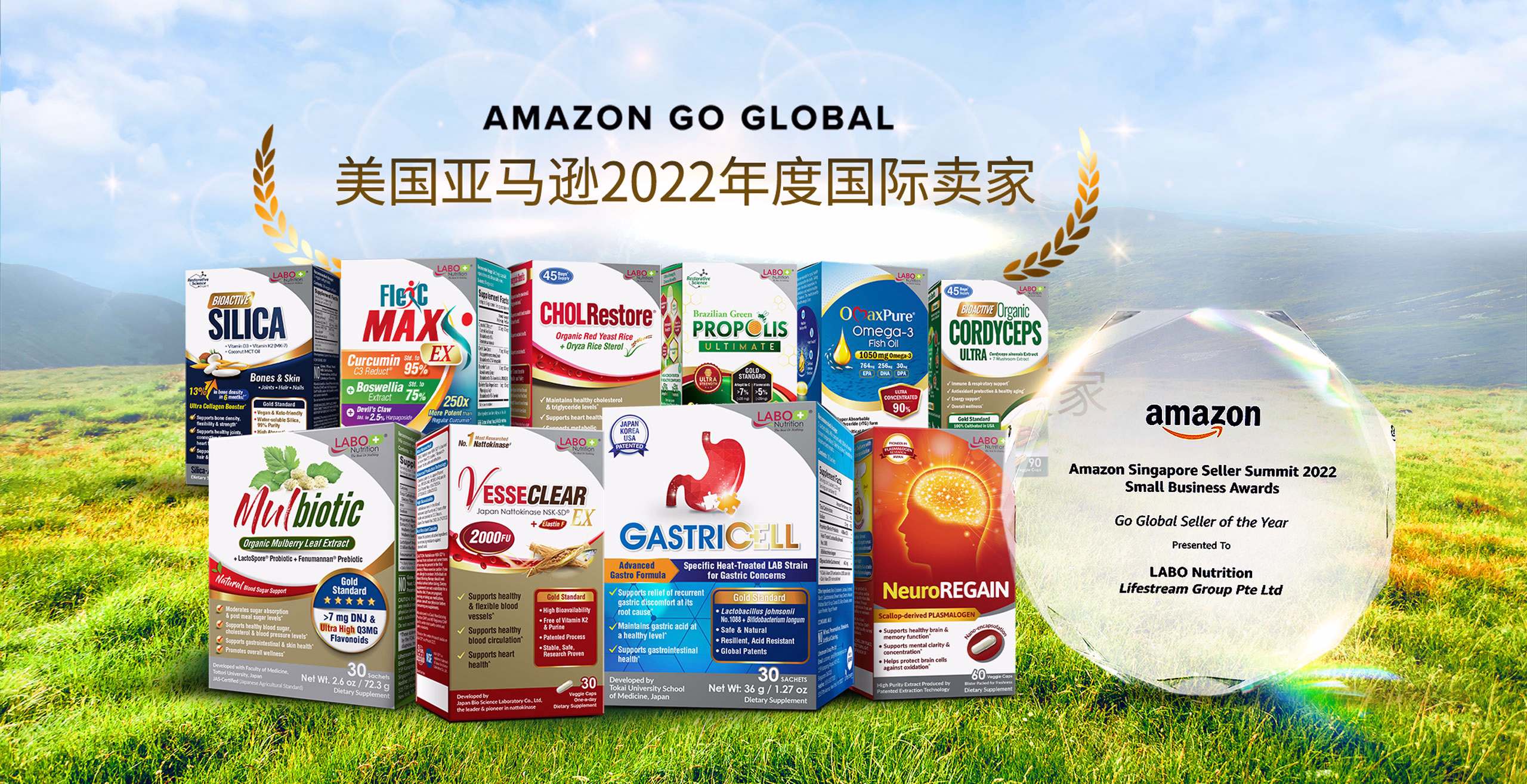 amazon-banner-sc-web
